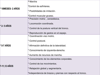 * Marcha

                    *Control de esfínteres.
* 18MESES- 2 AÑOS
                    * Posibilidades de imitación.

                    *Control muscular grueso.
                    * Precisión motriz , cenestésica.

                    * Locomoción coordinada.
* 2- 5 AÑOS
                    * Control de la postura vertical del tronco.

                    * Reproducción de gestos en el espejo.
                    * Coordinación viso motriz.

                    * Control postural.

* 5-7 AÑOS          * Afirmación definitiva de la lateralidad.

                    * Conocimiento de izquierda-derecha.

                    * Aumento de recursos de marcha.
                    * Conocimiento de los elementos corporales.

                    * Control de los movimientos.
7-11,12 AÑOS
                    * Relajación global y segmentaría.

                    *Independencia de brazos y piernas con respecto al tronco.
 