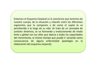 Entonces el Esquema Corporal es la conciencia que tenemos de
nuestro cuerpo, de la situación y relación entre los diferentes
segmentos que lo componen y de como el sujeto lo va
percibiendo a lo largo de su vida. Se trata de un concepto de
carácter dinámico, se va formando y evolucionando de modo
lento y global con los años que abarca a todas las capacidades
del movimiento, al mismo tiempo que puede ir variando como
consecuencia de alguna enfermedad (patología en la
elaboración del esquema corporal).
 