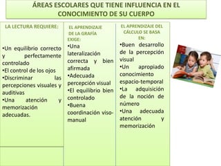 ÁREAS ESCOLARES QUE TIENE INFLUENCIA EN EL
                    CONOCIMIENTO DE SU CUERPO
 LA LECTURA REQUIERE:         EL APRENDIZAJE       EL APRENDIZAJE DEL
                             DE LA GRAFÍA           CÁLCULO SE BASA
                             EXIGE:                       EN:
                             •Una                  •Buen desarrollo
•Un equilibrio correcto
                             lateralización        de la percepción
y        perfectamente
                             correcta y bien       visual
controlado
                             afirmada              •Un    apropiado
•El control de los ojos
                             •Adecuada             conocimiento
•Discriminar           las
                             percepción visual     espacio-temporal
percepciones visuales y
                             •El equilibrio bien   •La adquisición
auditivas
                             controlado            de la noción de
•Una      atención       y
                             •Buena                número
memorización
                             coordinación viso-    •Una adecuada
adecuadas.
                             manual                atención       y
                                                   memorización
 