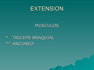 EXTENSION MUSCULOS *  TRICEPS BRAQUIAL  ** ANCONEO  