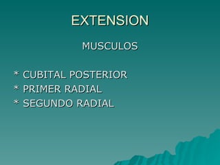 EXTENSION MUSCULOS * CUBITAL POSTERIOR * PRIMER RADIAL * SEGUNDO RADIAL 