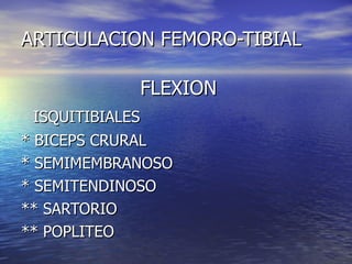 ARTICULACION FEMORO-TIBIAL FLEXION ISQUITIBIALES * BICEPS CRURAL * SEMIMEMBRANOSO * SEMITENDINOSO ** SARTORIO ** POPLITEO 