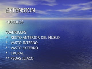 EXTENSION MUSCULOS CUADRICEPS *  RECTO ANTERIOR DEL MUSLO *  VASTO INTERNO *  VASTO EXTERNO *  CRURAL ** PSOAS ILIACO 