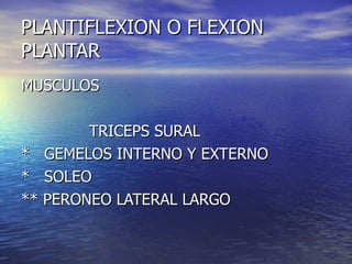 PLANTIFLEXION O FLEXION PLANTAR MUSCULOS TRICEPS SURAL *  GEMELOS INTERNO Y EXTERNO *  SOLEO ** PERONEO LATERAL LARGO 