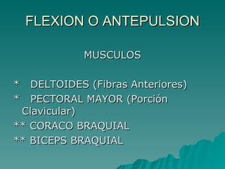 FLEXION O ANTEPULSION MUSCULOS *  DELTOIDES (Fibras Anteriores) *  PECTORAL MAYOR (Porción Clavicular) ** CORACO BRAQUIAL ** BICEPS BRAQUIAL 