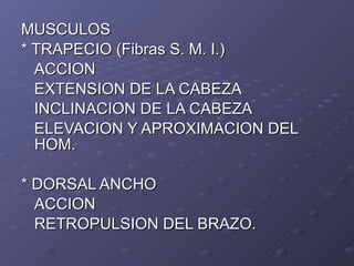 MUSCULOS * TRAPECIO (Fibras S. M. I.) ACCION EXTENSION DE LA CABEZA INCLINACION DE LA CABEZA ELEVACION Y APROXIMACION DEL HOM. * DORSAL ANCHO ACCION RETROPULSION DEL BRAZO. 