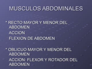 MUSCULOS ABDOMINALES * RECTO MAYOR Y MENOR DEL ABDOMEN ACCION FLEXION DE ABDOMEN * OBLICUO MAYOR Y MENOR DEL  ABDOMEN ACCION: FLEXOR Y ROTADOR DEL ABDOMEN 