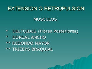 EXTENSION O RETROPULSION MUSCULOS  *  DELTOIDES (Fibras Posteriores) *  DORSAL ANCHO ** REDONDO MAYOR ** TRICEPS BRAQUIAL  