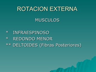 ROTACION EXTERNA  MUSCULOS  *  INFRAESPINOSO *  REDONDO MENOR ** DELTOIDES (Fibras Posteriores) 