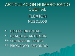 ARTICULACION HUMERO RADIO CUBITAL FLEXION MUSCULOS *  BICEPS BRAQUIAL *  BRAQUIAL ANTERIOR ** SUPINADOR LARGO ** PRONADOR REDONDO 