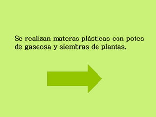 Se realizan materas plásticas con potes
de gaseosa y siembras de plantas.
 