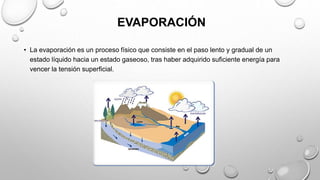 EVAPORACIÓN
• La evaporación es un proceso físico que consiste en el paso lento y gradual de un
estado líquido hacia un estado gaseoso, tras haber adquirido suficiente energía para
vencer la tensión superficial.
 