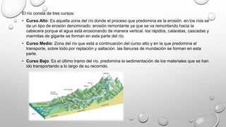 El río consta de tres cursos:
• Curso Alto: Es aquella zona del río donde el proceso que predomina es la erosión. en los ríos se
da un tipo de erosión denominado: erosión remontante ya que se va remontando hacia la
cabecera porque el agua está erosionando de manera vertical. los rápidos, cataratas, cascadas y
marmitas de gigante se forman en esta parte del río.
• Curso Medio: Zona del río que está a continuación del curso alto y en la que predomina el
transporte, sobre todo por reptación y saltación. las llanuras de inundación se forman en esta
parte.
• Curso Bajo: Es el último tramo del río. predomina la sedimentación de los materiales que se han
ido transportando a lo largo de su recorrido.
 