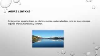 AGUAS LENTICAS
Se denominan aguas lenticas a las interiores quietas o estancadas tales como los lagos, ciénegas,
lagunas, charcas, humedales y pantanos.
 
