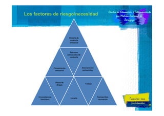Los factores de riesgo/necesidad

29

 