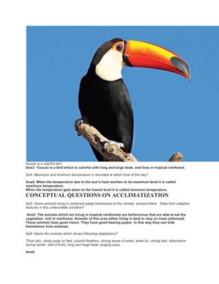 toucan is a colorful bird
Ans3: Toucan is a bird which is colorful with long and large beak, and lives in tropical rainforest.
Qs4: Maximum and minimum temperature is recorded at which time of the day?
Ans4: When the temperature due to the sun’s heat reaches to its maximum level it is called
maximum temperature.
When the temperature gets down to the lowest level it is called minimum temperature.
CONCEPTUAL QUESTIONS ON ACCLIMATIZATION
Qs5: Some animals living in rainforest adapt themselves to the climate present there. State their adaptive
features in this unfavorable condition?
Ans5: The animals which are living in tropical rainforests are herbivorous that are able to eat the
vegetation, rich in rainforest. Animals of this area either living in land or stay on trees (arboreal).
These animals have good vision. They have good hearing power. In this way they can hide
themselves from enemies.
Qs6: Name the animals which shows following adaptations?
Thick skin, sticky pads on feet, colorful feathers, strong sense of smell, white fur, strong feet, hibernation
during winter, diet of fruits, long and large beak, bulging eyes.
Ans6:
 