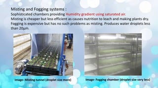 Misting and Fogging systems :
Sophisticated chambers providing Humidity gradient using saturated air.
Misting is cheaper but less efficient as causes nutrition to leach and making plants dry.
Fogging is expensive but has no such problems as misting. Produces water droplets less
than 20µm.
Image- Misting tunnel (droplet size more) Image- Fogging chamber (droplet size very less)
16
 