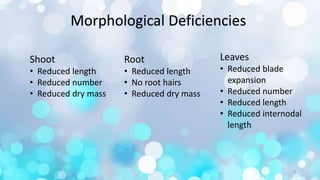 Morphological Deficiencies
Shoot
• Reduced length
• Reduced number
• Reduced dry mass
Root
• Reduced length
• No root hairs
• Reduced dry mass
Leaves
• Reduced blade
expansion
• Reduced number
• Reduced length
• Reduced internodal
length
9
 