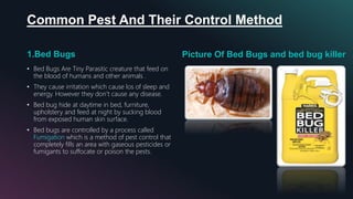 Pest and Pest Control in Hotel | PPTX