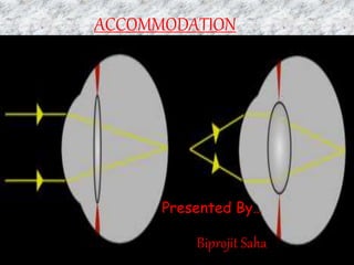ACCOMMODATION
Presented By…
Biprojit Saha
 