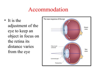 Accommodation of the Eye, Mechanism, Measurement and Clinical ...