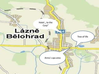 Hotel „ to theCarp“TreeoflifeAnna´s spa area