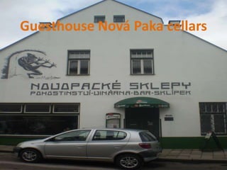 Guesthouse Nová Paka cellars