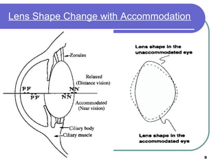Effective Stimuli for Accommodation
Retinal Blur
• Accommodation occurs to improve the contrast
and clarity of the retinal...