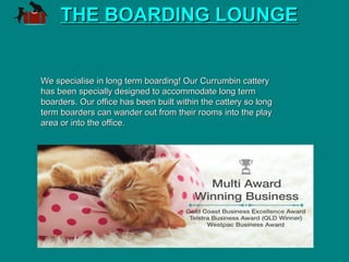 THE BOARDING LOUNGETHE BOARDING LOUNGE
We specialise in long term boarding! Our Currumbin catteryWe specialise in long term boarding! Our Currumbin cattery
has been specially designed to accommodate long termhas been specially designed to accommodate long term
boarders. Our office has been built within the cattery so longboarders. Our office has been built within the cattery so long
term boarders can wander out from their rooms into the playterm boarders can wander out from their rooms into the play
area or into the office.area or into the office.
 