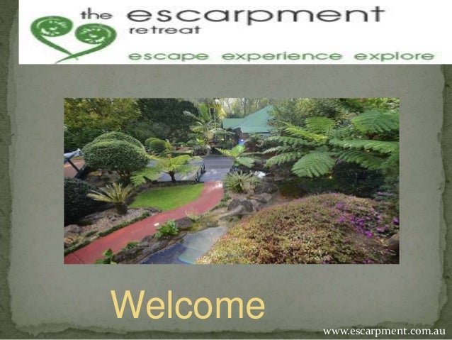 Accommodation Mt Tamborine Cottages