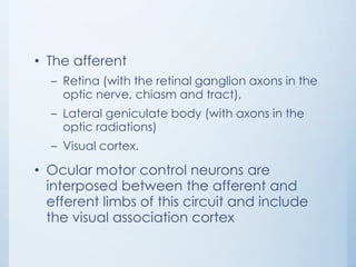 • The afferent
– Retina (with the retinal ganglion axons in the
optic nerve, chiasm and tract),
– Lateral geniculate body (with axons in the
optic radiations)
– Visual cortex.

• Ocular motor control neurons are
interposed between the afferent and
efferent limbs of this circuit and include
the visual association cortex

 
