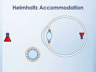 Helmholtz Accommodation

 