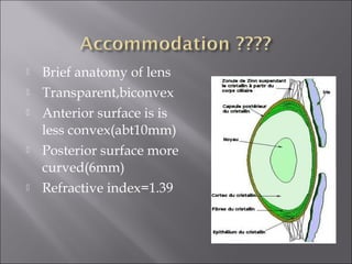  Brief anatomy of lens
 Transparent,biconvex
 Anterior surface is is
less convex(abt10mm)
 Posterior surface more
curved(6mm)
 Refractive index=1.39
 