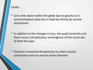 Contd…
• Lens sinks down within the globe due to gravity as in
accommodated state lens is held less firmly by zonular
attachment
• In addition to the changes in lens, the pupil constricts and
there occurs simultaneous convergence of the visual axis
of both the eyes
• Choroid is stretched forward due to ciliary muscle
contraction and ora serrata moves forward
 