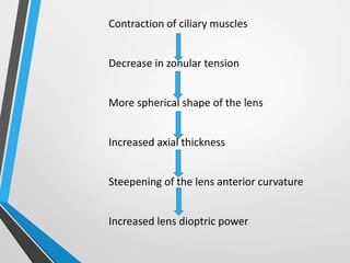 Contraction of ciliary muscles
Decrease in zonular tension
More spherical shape of the lens
Increased axial thickness
Steepening of the lens anterior curvature
Increased lens dioptric power
 