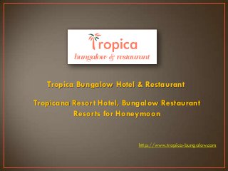 Tropica Bungalow Hotel & Restaurant
http://www.tropica-bungalow.com
Tropicana Resort Hotel, Bungalow Restaurant
Resorts for Honeymoon
 