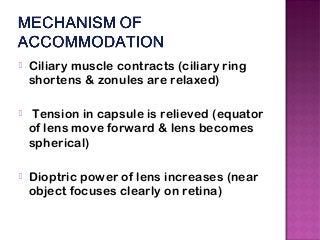  Ciliary muscle contracts (ciliary ring
shortens & zonules are relaxed)
 Tension in capsule is relieved (equator
of lens move forward & lens becomes
spherical)
 Dioptric power of lens increases (near
object focuses clearly on retina)
 