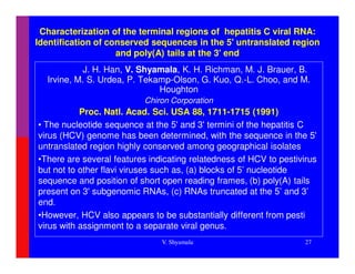 Characterization of the terminal regions of hepatitis C viral RNA:
Identification of conserved sequences in the 5' untranslated region
                    and poly(A) tails at the 3' end
           J. H. Han, V. Shyamala, K. H. Richman, M. J. Brauer, B.
  Irvine, M. S. Urdea, P. Tekamp-Olson, G. Kuo, Q.-L. Choo, and M.
                              Houghton
                           Chiron Corporation
           Proc. Natl. Acad. Sci. USA 88, 1711-1715 (1991)
• The nucleotide sequence at the 5' and 3' termini of the hepatitis C
virus (HCV) genome has been determined, with the sequence in the 5'
untranslated region highly conserved among geographical isolates
•There are several features indicating relatedness of HCV to pestivirus
but not to other flavi viruses such as, (a) blocks of 5’ nucleotide
sequence and position of short open reading frames, (b) poly(A) tails
present on 3' subgenomic RNAs, (c) RNAs truncated at the 5’ and 3’
end.
•However, HCV also appears to be substantially different from pesti
virus with assignment to a separate viral genus.
                               V. Shyamala                          27
 