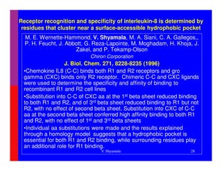 Receptor recognition and specificity of interleukin-8 is determined by
 residues that cluster near a surface-accessible hydrophobic pocket
  M. E. Wernette-Hammond, V. Shyamala, M. A. Siani, C. A. Gallegos,,
  P. H. Feucht, J. Abbott, G. Reza-Lapointe, M. Moghadam, H. Khoja, J.
                      Zakel, and P. Tekamp-Olson
                           Chiron Corporation
                   J. Biol. Chem. 271, 8228-8235 (1996)
 •Chemokine IL8 (C-C) binds both R1 and R2 receptors and gro
 gamma (CXC) binds only R2 receptor. Chimeric C-C and CXC ligands
 were used to determine the specificity and affinity of binding to
 recombinant R1 and R2 cell lines
 •Substitution into C-C of CXC aa at the 1st beta sheet reduced binding
 to both R1 and R2, and of 3rd beta sheet reduced binding to R1 but not
 R2, with no effect of second beta sheet. Substitution into CXC of C-C
 aa at the second beta sheet conferred high affinity binding to both R1
 and R2, with no effect of 1st and 3rd beta sheets
 •Individual aa substitutions were made and the results explained
 through a homology model suggests that a hydrophobic pocket is
 essential for both R1 and R2 binding, while surrounding residues play
 an additional role for R1 binding.
                               V. Shyamala                         28
 