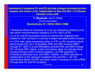 Interleukin-8 receptors R1 and R2 activate mitogen-activated protein
 kinases and induce c-fos, independent of Ras and Raf-1 in Chinese
                         hamster ovary cells
                        V. Shyamala, and H. Khoja
                             Chiron Corporation
                 Biochemistry 37, 15918-15924 (1998)

 • Biological effects of interleukin-8 (IL-8) are realized by binding to the
 two seven-transmembrane receptors IL-8 R1 and IL-8 R2.
 • IL-8 R1 and R2 have been shown to interact with Galphai2 and
 Galpha16, with activation of several mitogen-activated protein kinases
 •In CHO cells stably expressing either IL-8 R1 or R2 receptors results
 demonstrate that: (a) IL-8 activates ERK and ERK kinases (MEK)
 through R1. Both IL-8 and GROalpha activate ERK and MEK through
 R2, whereas MIP-1alpha, a beta chemokine, does not activate these
 kinases through either of these receptors. (b) ERK activation is
 inhibited by pertussis toxin and MEK1 inhibitor. (c) ERK activation is
 independent of the upstream mediators Ras and Raf-1. (d) The
 downstream effects of ERK activation result in increase of c-fos mRNA
 through both R1 and R2 receptors.
                                  V. Shyamala                           29
 