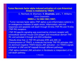 Tumor Necrosis factor alpha induced activation of c-jun N-terminal
                 kinase is mediated by TRAF2
          C. Reinhard, B. Shamoon, V. Shyamala, and L. T. Williams
                           Chiron Corporation
                        EMBO J. 16,1080-1092 (1997)
• Tumor necrosis factor alpha (TNF alpha) a pro-inflammatory cytokine is
an endogenous mediator of septic shock, inflammation, anti-viral
responses and apoptotic cell death through 55 kDa (TNF-RI) and 75 kDa
(TNF-RII) receptors.
•TNF-RII specific signaling was examined by chimeric receptor with
extracellular domain mouse CD4 antigen and intracellular domain TNF-
RII, and activated it through anti-CD4 antibodies
•Results show that: (i) TNF-RII activates ERK and JNK; (ii)
Overexpression of TRAF2, a molecule that binds TNF-RII activates JNK ;
(iii) dominant-negative TRAF2 blocks JNK activation ; (iv) TRAF2 signals
activation of JNK and NF-kappaB through different pathways.
•TNF alpha-mediated JNK activation in fibroblasts is independent of the
cell death pathway.
                                 V. Shyamala                       31
.
 