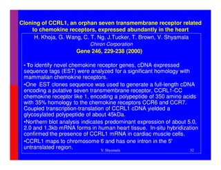 Cloning of CCRL1, an orphan seven transmembrane receptor related
    to chemokine receptors, expressed abundantly in the heart
     H. Khoja, G. Wang, C. T. Ng, J.Tucker, T. Brown, V. Shyamala
                           Chiron Corporation
                      Gene 246, 229-238 (2000)B
                           Involved in stroke
 • To identify novel chemokine receptor genes, cDNA expressed
 sequence tags (EST) were analyzed for a significant homology with
 mammalian chemokine receptors.
 •One EST clones sequence was used to generate a full-length cDNA
 encoding a putative seven transmembrane receptor, CCRL1-CC
 chemokine receptor like 1, encoding a polypeptide of 350 amino acids
 with 35% homology to the chemokine receptors CCR6 and CCR7.
 Coupled transcription-translation of CCRL1 cDNA yielded a
 glycosylated polypeptide of about 45kDa.
 •Northern blot analysis indicates predominant expression of about 5.0,
 2.0 and 1.3kb mRNA forms in human heart tissue. In-situ hybridization
 confirmed the presence of CCRL1 mRNA in cardiac muscle cells.
 •CCRL1 maps to chromosome 6 and has one intron in the 5'
 untranslated region.            V. Shyamala                        32
 