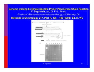 Genome walking by Single-Specific Primer Polymerase Chain Reaction
                 V. Shyamala, and G. F.-L. Ames
       Division of Biochemistry and Molecular Biology, UC Berkeley, CA
  Methods in Enzymology 217, Part H, 436 – 446 (1993) Ed. R. Wu B
                                    ood




                                V. Shyamala                              38
 