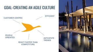 GOAL: CREATING AN AGILE CULTURE
CUSTOMER CENTRIC
PEOPLE
ORIENTED
INNOVATIVE
EFFICIENT
ANTICIPATE
TRENDS
REACT FASTER THAN
COMPETITORS
 
