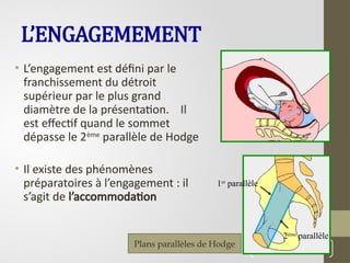 L’ENGAGEMEMENT
• L’engagement est défini par le
franchissement du détroit
supérieur par le plus grand
diamètre de la présentation. Il
est effectif quand le sommet
dépasse le 2ème
parallèle de Hodge
• Il existe des phénomènes
préparatoires à l’engagement : il
s’agit de l’accommodation
40
Plans parallèles de Hodge
1er
parallèle
2ème
parallèle
 