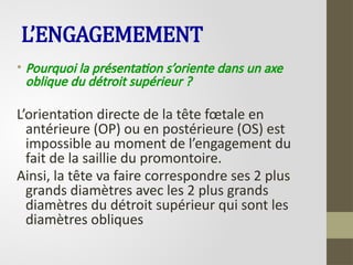 L’ENGAGEMEMENT
• Pourquoi la présentation s’oriente dans un axe
oblique du détroit supérieur ?
L’orientation directe de la tête fœtale en
antérieure (OP) ou en postérieure (OS) est
impossible au moment de l’engagement du
fait de la saillie du promontoire.
Ainsi, la tête va faire correspondre ses 2 plus
grands diamètres avec les 2 plus grands
diamètres du détroit supérieur qui sont les
diamètres obliques
 