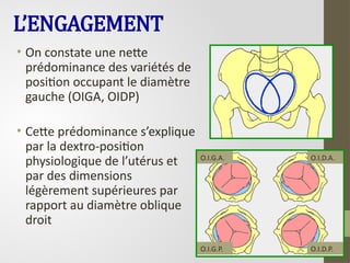 L’ENGAGEMENT
• On constate une nette
prédominance des variétés de
position occupant le diamètre
gauche (OIGA, OIDP)
• Cette prédominance s’explique
par la dextro-position
physiologique de l’utérus et
par des dimensions
légèrement supérieures par
rapport au diamètre oblique
droit
44
O.I.D.A.
O.I.G.A.
O.I.G.P. O.I.D.P.
 
