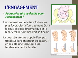 L’ENGAGEMENT
• Pourquoi la tête se fléchie pour
l’engagement ?
Les dimensions de la tête fœtale les
plus favorables à l’engagement étant
le sous-occipito-bregmatique et le
bipariétal, le sommet doit se fléchir
La poussée utérine appuie l’occiput
fœtal sur l’arc antérieur du bassin. Il
en résulte une force qui aura
tendance à fléchir la tête
 