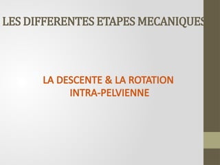 LES DIFFERENTES ETAPES MECANIQUES
LA DESCENTE & LA ROTATION
INTRA-PELVIENNE
 