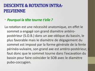 DESCENTE & ROTATION INTRA-
PELVIENNE
• Pourquoi la tête tourne t’elle ?
La rotation est une nécessité anatomique, en effet le
sommet a engagé son grand diamètre antéro-
postérieur (S.O.B.) dans un axe oblique du bassin, le
plus favorable mais le diamètre de dégagement du
sommet est imposé par la forme générale de la fente
périnéo-vulvaire, son grand axe est antéro-postérieur, il
faut donc que le sommet tourne dans l’excavation du
bassin pour faire coïncider le SOB avec le diamètre
pubo-coccygien.
 